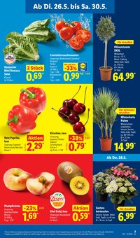 Gemüse im Lidl Prospekt "LIDL LOHNT SICH" mit 70 Seiten (Würzburg)