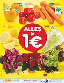 Blumen im aktuellen Netto Marken-Discount Prospekt (Reutlingen) Blumen im Netto Marken-Discount Prospekt "Aktuelle Angebote" mit 65 Seiten (Reutlingen)