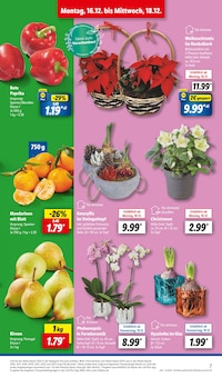 Blumen im Lidl Prospekt "LIDL LOHNT SICH" mit 63 Seiten (München)