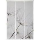 FLÄCHENVORHANG 3 Stück transparent  60/245 cm Angebote von Novel bei XXXLutz Möbelhäuser Konstanz für 49,99 €