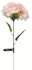 Aktuelles LED Solar-Sticklampe Hortensie Angebot bei Wreesmann in Dresden ab 4,99 €