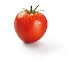 Strauchtomaten, lose Angebote bei Lidl Warendorf