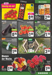 Tomaten im E center Prospekt "Aktuelle Angebote" mit 24 Seiten (Mülheim (Ruhr))