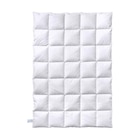 Aktuelle Bettdecke Angebote bei Möbel Martin in Mainz Aktuelles billerbeck silber Daunendecke Dina 90 Mono weiß Angebot bei Möbel Martin in Mainz ab 189,00 €