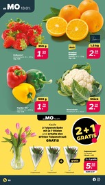 Paprika im Netto mit dem Scottie Prospekt in Dresden Aktueller Netto mit dem Scottie Prospekt mit Paprika, "Günstig. Besser. Für Dich.", Seite 2