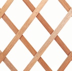 Botanic Villeurbanne - Promo Treillis extensible en bois trelliwood Promo Treillis extensible en bois trelliwood à 7,99 € dans le catalogue Botanic à Villeurbanne