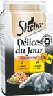 Multipacks - Sheba en promo chez Maxi Zoo Multipacks - Sheba dans le catalogue Maxi Zoo