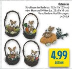 Strohase im Korb von  im aktuellen diska Prospekt für 4,99 €