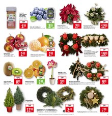 Adventskranz im aktuellen Marktkauf Prospekt (Heilbronn) Adventskranz im Marktkauf Prospekt "Aktuelle Angebote" mit 51 Seiten (Heilbronn)