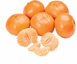 Mandarinen im aktuellen Netto Marken-Discount Prospekt