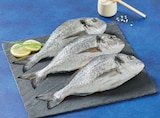 Dorade Royale en promo chez Super U Toulon à 3,50 €