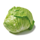 Eisbergsalat für 0,99 € bei Netto mit dem Scottie im Angebot Eisbergsalat im aktuellen Netto mit dem Scottie Prospekt