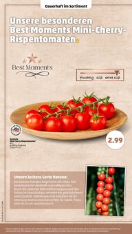 Tomaten im Penny Prospekt "Wer günstig will, muss Penny." mit 46 Seiten (Braunschweig)