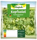 Endiviensalat oder Kopfsalat von Bonduelle im aktuellen REWE Prospekt für 1,79 €