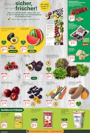 Aktueller GLOBUS Prospekt mit Mango, "Aktuelle Angebote", Seite 9