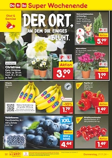 Blumen im Netto Marken-Discount Prospekt "Aktuelle Angebote" mit 51 Seiten (Moers)