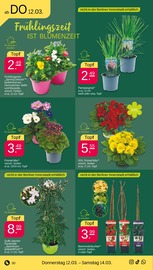 Beerensträucher Angebote im Prospekt "Günstig. Besser. Für Dich." von Netto mit dem Scottie auf Seite 36
