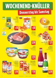 Palme im aktuellen Marktkauf Prospekt (Leipzig) Palme im Marktkauf Prospekt "AUSWAHL RIESIG, PREISE NIEDRIG" mit 48 Seiten (Leipzig)