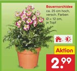 Angebot im Netto Marken-Discount Johannesberg Prospekt Netto Marken-Discount Johannesberg Prospekt mit im Angebot für 2,99 €