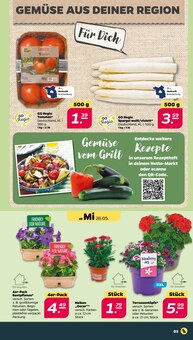 Paprika-Mix Angebot im Netto mit dem Scottie Prospekt, gültig von 26.05.2025 bis 31.05.2025 Paprika-Mix Angebot im aktuellen Netto mit dem Scottie Prospekt auf Seite 3