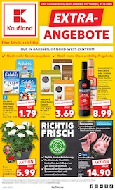 Aktueller Kaufland Supermarkt Prospekt in Wedemark und Umgebung, "EXTRA-ANGEBOTE" mit 8 Seiten, 25.09.2025 - 01.10.2025