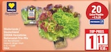 Ballensalat-Trio-Mix bei EDEKA im Schöneiche Prospekt für 1,11 €