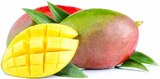 Mangos "Osteen" Angebote bei EDEKA Friedrichshafen für 2,22 €