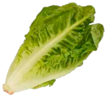 Mini Romanasalat  im aktuellen Marktkauf Prospekt für 1,49 €