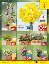 Aktueller Netto Marken-Discount Prospekt mit Orchidee, "Aktuelle Angebote", Seite 7