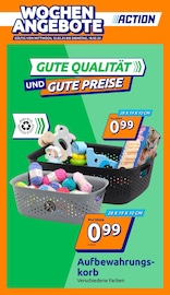 Aktueller Action Prospekt mit Aufbewahrungsbox, "kleine Preise, grosse Freude!", Seite 1