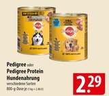 Pedigree oder Pedigree Protein Hundenahrung Angebote bei famila Nordost Falkensee für 2,29 €