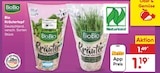 Bio Kräutertopf Angebot in Emmelshausen Bio Kräutertopf im aktuellen Prospekt bei Netto Marken-Discount in Emmelshausen