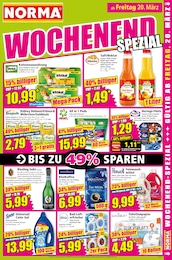 Norma Ariel im Prospekt 