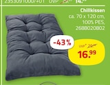 Chillkissen im aktuellen ROLLER Prospekt für 16,99 €