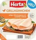 Hähnchengenuss im Angebot bei Netto Marken-Discount in Bremerhaven Hähnchengenuss Angebote von Herta bei Netto Marken-Discount Bremerhaven für 1,79 €