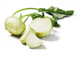 Lidl Hildburghausen - Deutscher Kohlrabi Angebot im Prospekt Deutscher Kohlrabi bei Lidl im Hildburghausen Prospekt für 0,39 €