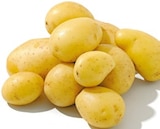 Aktuelles Speisefrühkartoffeln Angebot bei Netto mit dem Scottie in Chemnitz ab 3,49 €