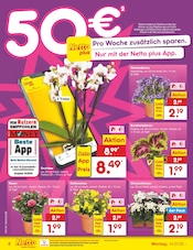 Zimmerpflanzen im Netto Marken-Discount Prospekt in Recklinghausen Aktueller Netto Marken-Discount Prospekt mit Zimmerpflanzen, "Aktuelle Angebote", Seite 6