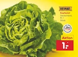 Aktuelles Kopfsalat Angebot bei Netto Marken-Discount in Nürnberg ab 1,00 €