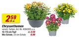Angebot im toom Baumarkt Tannenberg Prospekt toom Baumarkt Tannenberg Prospekt mit im Angebot fĂŒr 2,59 âŹ