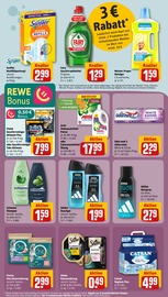 Ariel im REWE Prospekt in Bottrop Aktueller REWE Prospekt mit Ariel, "Dein Markt", Seite 23