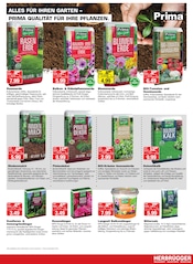 Gartenerde im Herbrügger Prospekt in Unna Aktueller Herbrügger Prospekt mit Gartenerde, "DAS IST JA FAST GESCHENKT - SCHNELL ZUGREIFEN!", Seite 13