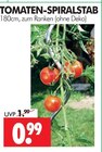 TOMATEN-SPIRALSTAB im Angebot bei Wreesmann in Görlitz TOMATEN-SPIRALSTAB Angebote bei Wreesmann Görlitz für 0,99 €