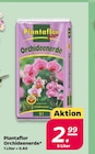 Orchideenerde Angebote von Plantaflo bei Netto mit dem Scottie Eberswalde für 2,99 €