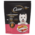 Croquettes pour chien - CESAR en promo chez Carrefour Market Mérignac à 5,69 €