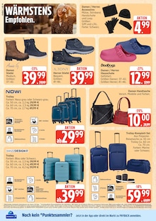 Gardinen Angebot im Marktkauf Prospekt, gültig von 27.10.2025 bis 01.11.2025 Gardinen Angebot im aktuellen Marktkauf Prospekt auf Seite 38