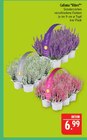 Aktuelles Calluna Vibes Angebot bei Marktkauf in Leipzig ab 6,99 €