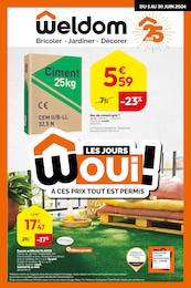 Prospectus Weldom à Ablon-sur-Seine: "LES JOURS WOUI ! À CES PRIX TOUT EST PERMIS", 4} pages, 05/06/2024 - 30/06/2024