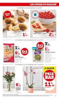 Promo Aménagement Extérieur dans le catalogue Hyper U du moment à la page 21
