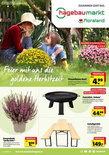 Pflanzen im Hagebaumarkt Prospekt "Feier mit uns die goldene Herbstzeit" mit 16 Seiten (Karlsruhe)